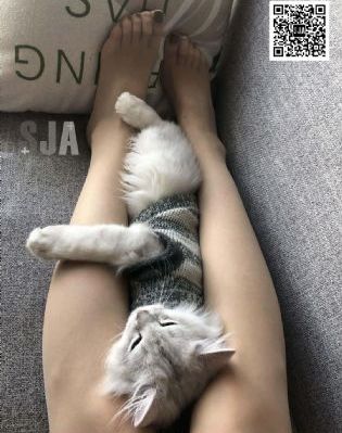 聊斋奇谭_蓝光高清在线观看