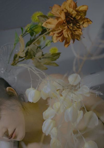 樱花动漫手机_剧情片日韩电影在线