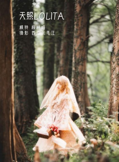 伟大的战争_免费手机在线看观看