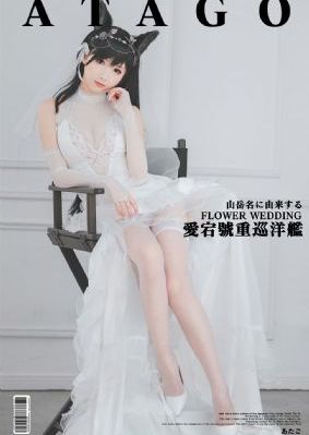 傲骨贤妻在线观看免费完整版_4K完整在线观看