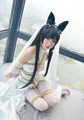 人海孤鸿_剧情片完整版观看